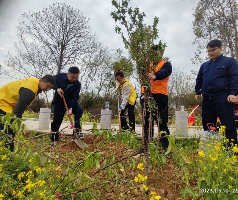 公司團委開展植樹造林活動2.jpg